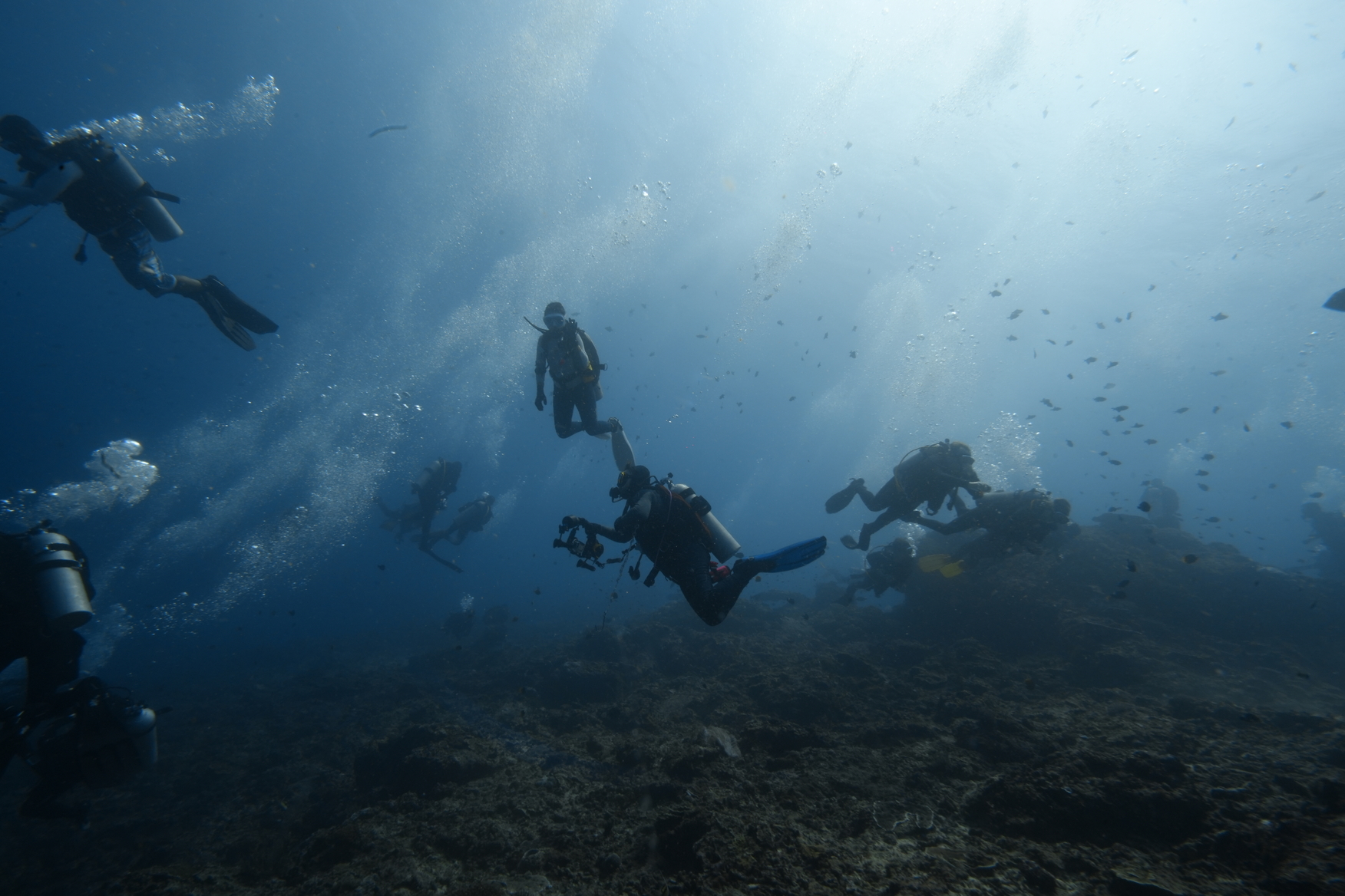 Dive Trip 1